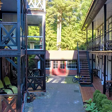 Goscinne Konik Morski *