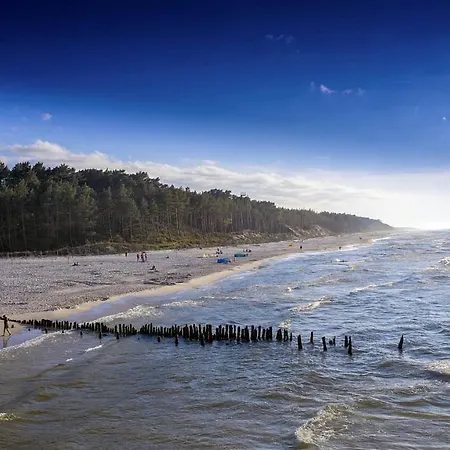 Goscinne Konik Morski