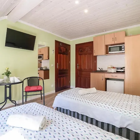 Goscinne Konik Morski