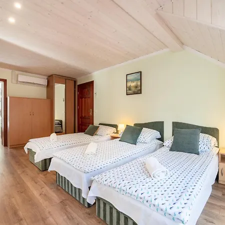 Goscinne Konik Morski *