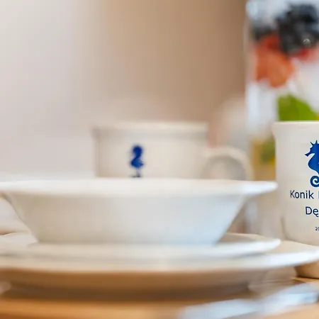 Goscinne Konik Morski Dębki