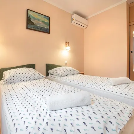 Goscinne Konik Morski * Dębki