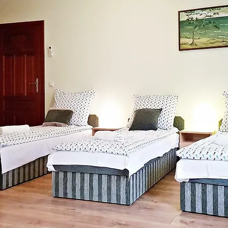 Goscinne Konik Morski Dębki