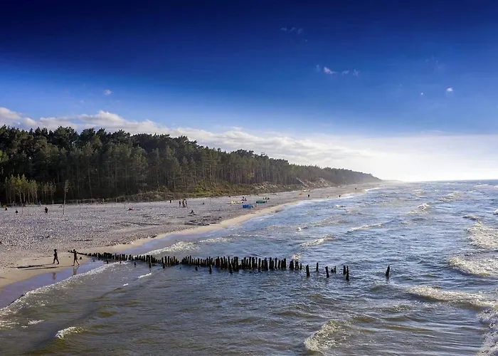 Goscinne Konik Morski