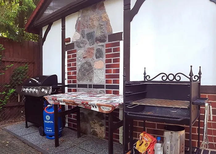 Goscinne Konik Morski