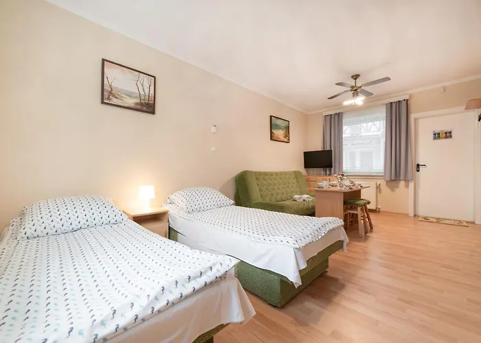 Goscinne Konik Morski Dębki