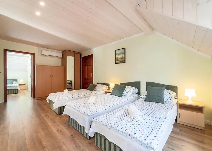 Goscinne Konik Morski *