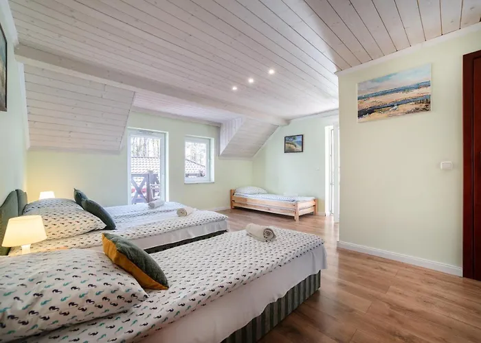 Goscinne Konik Morski * Dębki