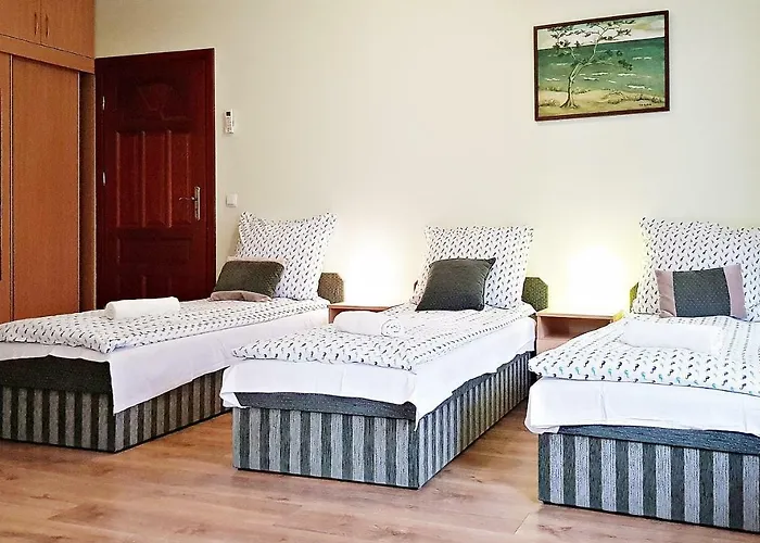 Goscinne Konik Morski Dębki